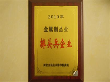 2010排頭兵企業(yè)